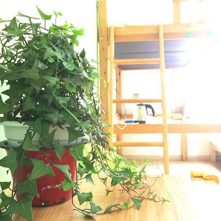 Weihai Hiking International Hostel المظهر الخارجي الصورة